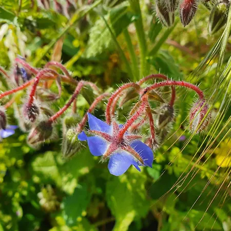 Casa Bommegna Сasa de vacaciones