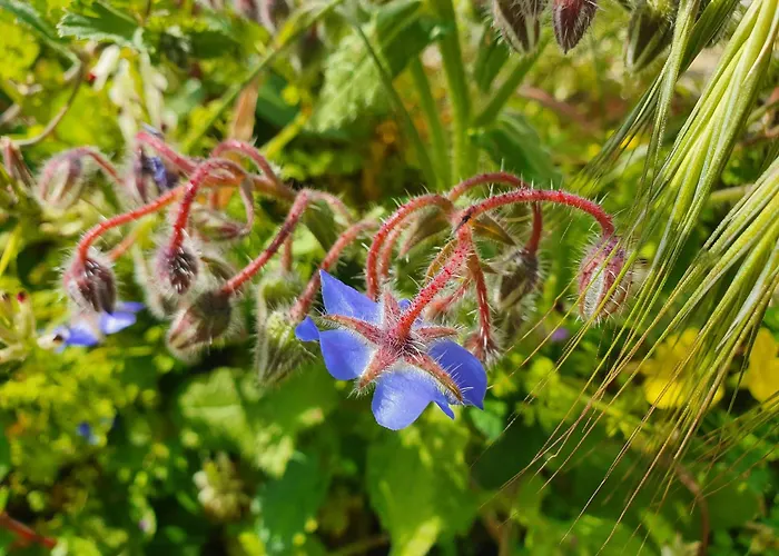 Casa Bommegna Nyaraló